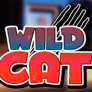 logotipo de Wild Cat