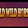 logotipo de Wild Wild Horses