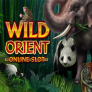 logotipo de Wild Orient