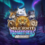 logotipo de Wild North Radiant Skies Go Collect