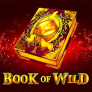 logotipo de Book of Wild