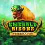 logotipo de Emerald Bisons PrizeMatch