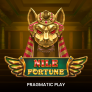 logotipo de Nile Fortune