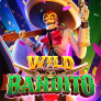 logotipo de Wild Bandito