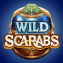 logotipo de Wild Scarabs