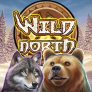 logotipo de Wild North