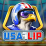 logotipo de USA Flip
