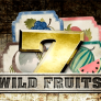 logotipo de WildFruits
