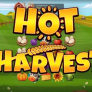 logotipo de Hot Harvest