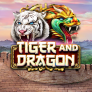 logotipo de Tiger and Dragon