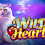 logotipo de Wild Hearts