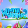 logotipo de Winterberries 2