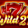 logotipo de Wild 27