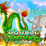 logotipo de Double Fortune