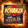 logotipo de Bonanza More Gold