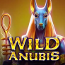 logotipo de Wild Anubis
