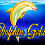 logotipo de Dolphin Gold