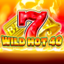 logotipo de Wild Hot 40