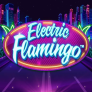 logotipo de Electric Flamingo