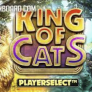 logotipo de King of Cats