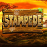 logotipo de Stampede
