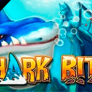 logotipo de Shark Bite