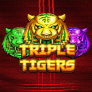 logotipo de Triple Tigers