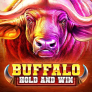 logotipo de Buffalo Hold and Win