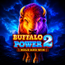 logotipo de Buffalo Power 2 Hold and Win