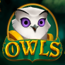 logotipo de Owls