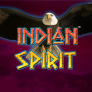 logotipo de Indian Spirit