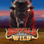 logotipo de Buffalo Goes Wild