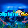 logotipo de Dolphins Gold