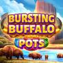 logotipo de Bursting Buffalo Pots