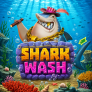 logotipo de Shark Wash