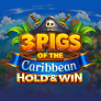logotipo de 3 Pigs of the Caribbean