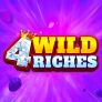 logotipo de 4 Wild Riches