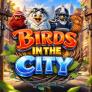 logotipo de Birds in The City
