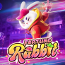 logotipo de Fortune Rabbit