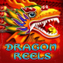 logotipo de Dragon Reels
