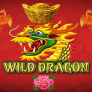 logotipo de Wild Dragon