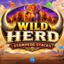 logotipo de Wild Herd Stampede Stacks