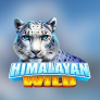 logotipo de Himalayan Wild