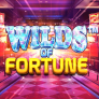 logotipo de Wilds of Fortune