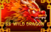 logo 88 wild dragon booongo 