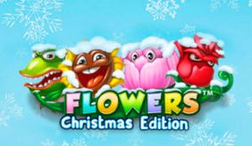 logo flowers christmas edition netent 