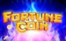 logo fortune coin igt 3 