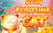 logo lucky fortune cat red tiger 1 