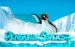 logo penguin splash rabcat 