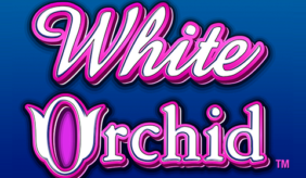 logo white orchid igt 